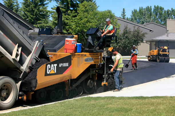 Best Driveway Stamping and Staining in Homer Glen, IL